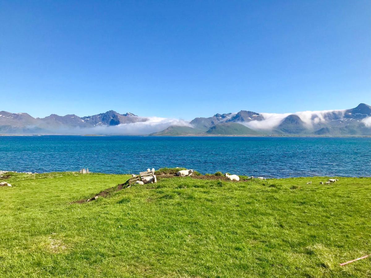 Lofoten Bay View Bostad Exterior foto